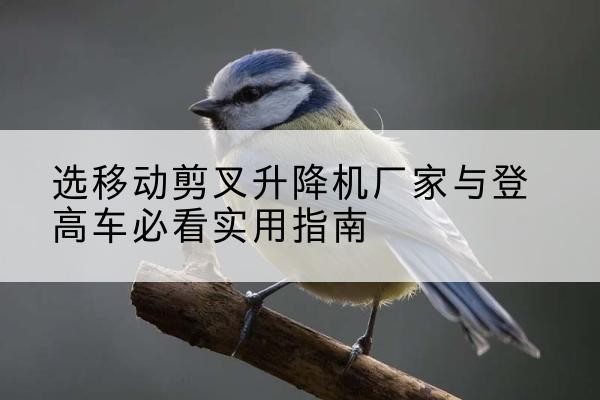 榆中电动升降机厂家-选移动剪叉升降机厂家与登高车必看实用指南