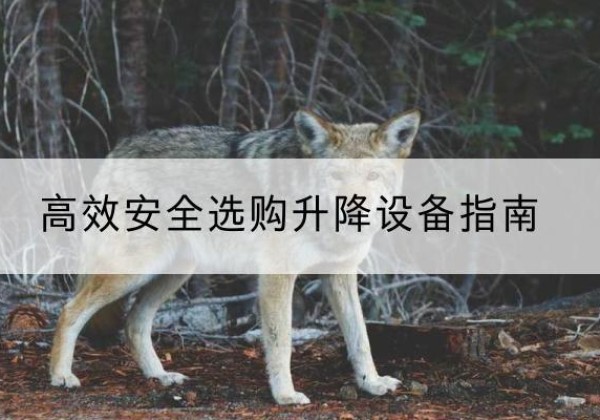 榆中升降货梯厂家推荐-*安全选购升降设备指南