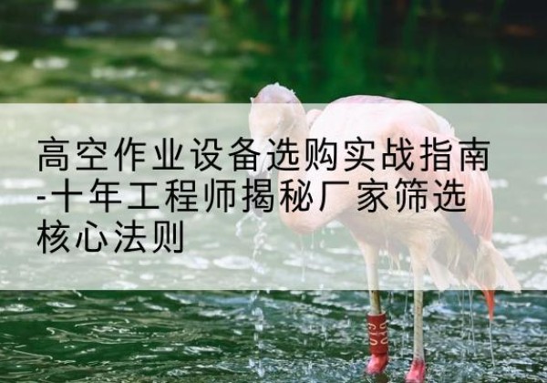 榆中剪叉式升降机厂家-高空作业设备选购实战指南-十年工程师揭秘厂家筛选核心法则